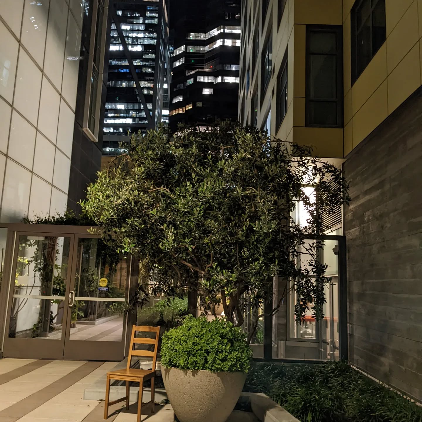 In between highrises, we have this wooden chair, sitting underneath an olive tree. For weeks now.