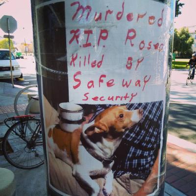 Roseo was killed…